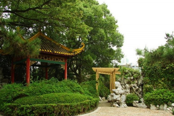 如何讓土地“變肥”，讓樹苗“夠吃”？