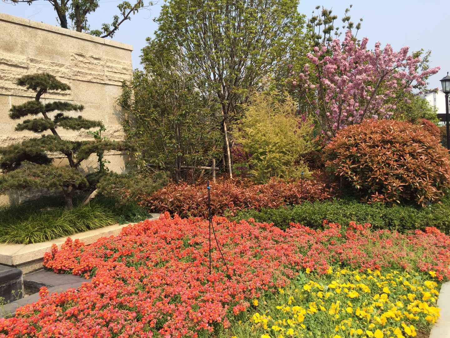 園林景觀(guān)設(shè)計(jì)流程你真的了解嗎