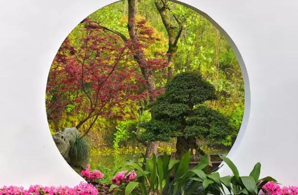 園林景觀(guān)中的重頭戲——植物景觀(guān)設(shè)計(jì)