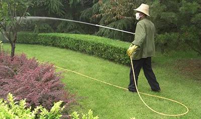 干貨：喬木移栽保證成活的12大方法！