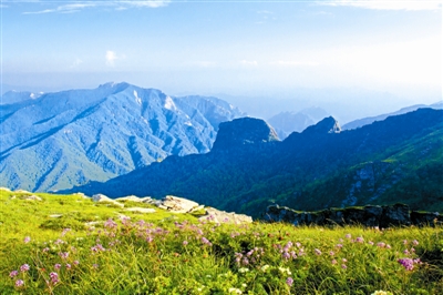  秦嶺國家公園設(shè)立后，會(huì)有啥不一樣？