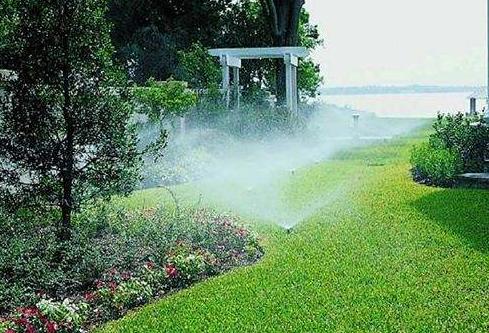 1月份園林養(yǎng)護，加強防凍與越冬害蟲防控是重點 