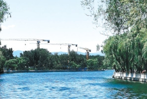 湖北凱蒂園林分享十種超耐寒的開(kāi)花植物，不怕凍傷！ 