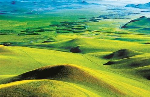 專家：如何發(fā)揮草地多功能助力國(guó)家公園建設(shè)？