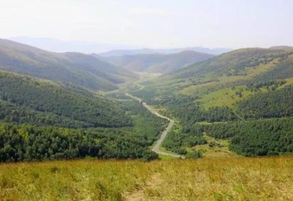 國家森林公園被“毀容”，誰在選擇性“失明”？