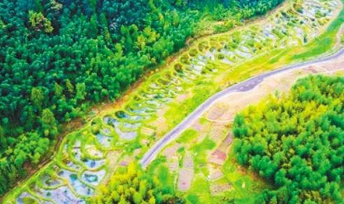 “國際濕地城市”中國zui多 已成優(yōu)質生態(tài)名片