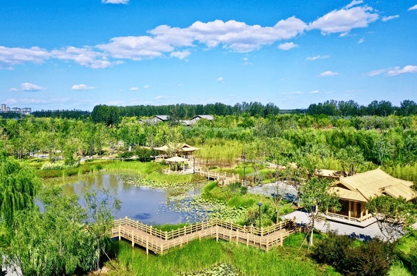 保護與修復：我國草原建設(shè)管理進入新階段