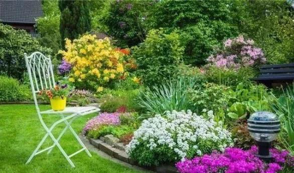 這幾招，搞定庭院植物搭配