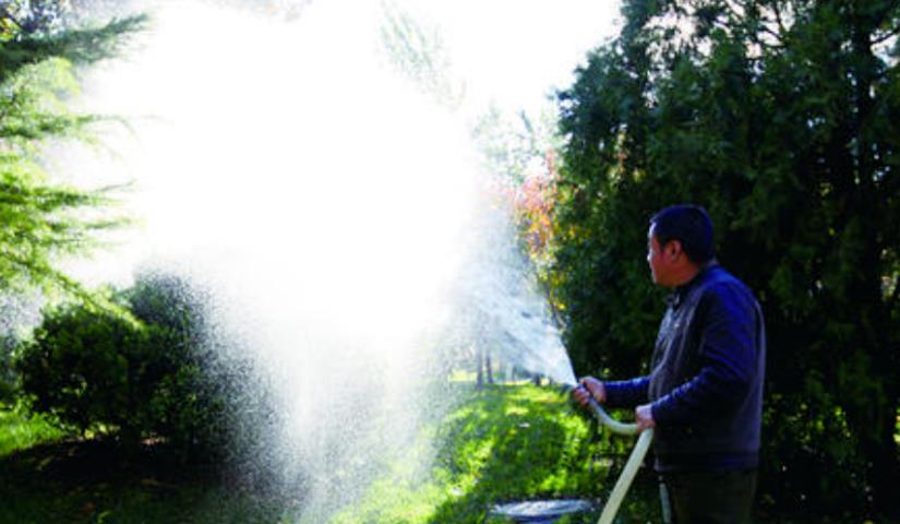 春季氣溫開始回升，湖北凱蒂園林提醒：做好這些養(yǎng)護(hù)舉措，苗木來年存活好，長枝快