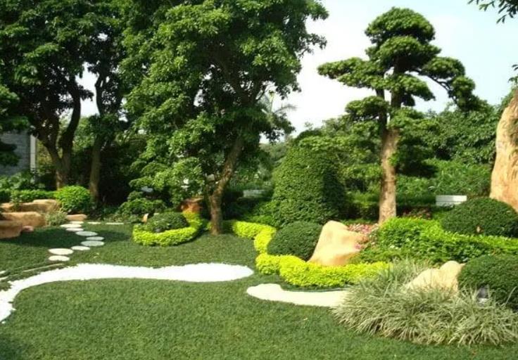 園林景觀設(shè)計(jì)之植物墻設(shè)計(jì)在哪些地方適合？